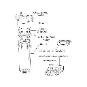 komponenty-potrubneho-filtra-na-studenu-vodu-ecosoft-eco-fh1.webp